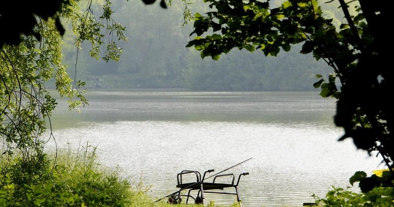 Lancer droit ou courbe : comment choisir la bonne technique au bon moment